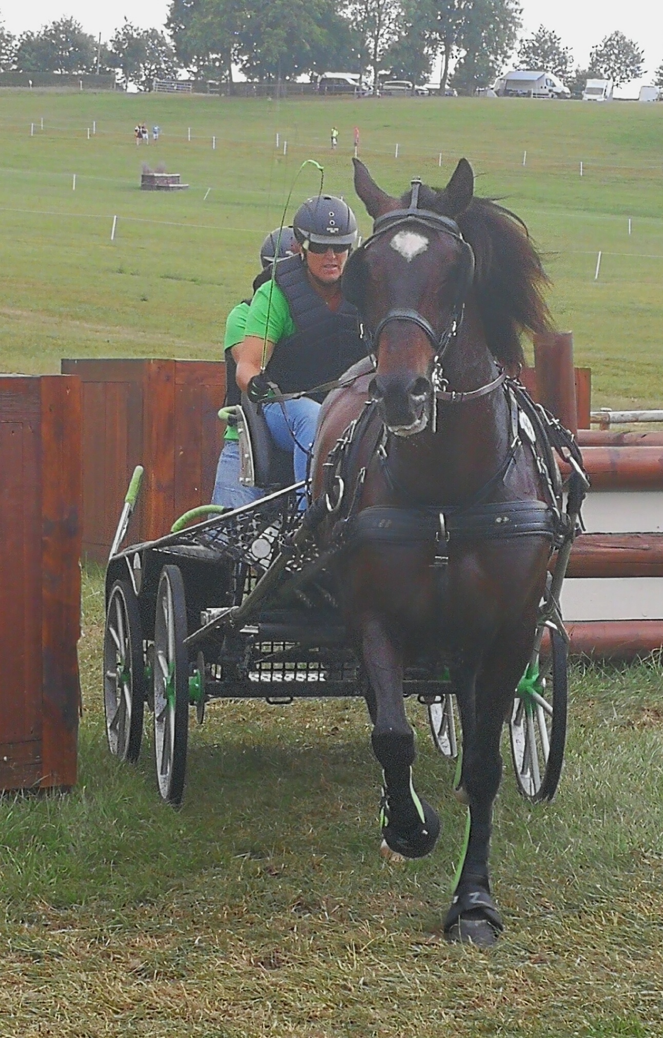 REPRESENTACION NAVARRA EN EL CONCURSO FEI ** ENGANCHES DE HARAS DU PIN (FRANCIA)